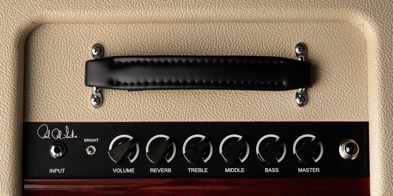 Dg custom 30 2025 controls