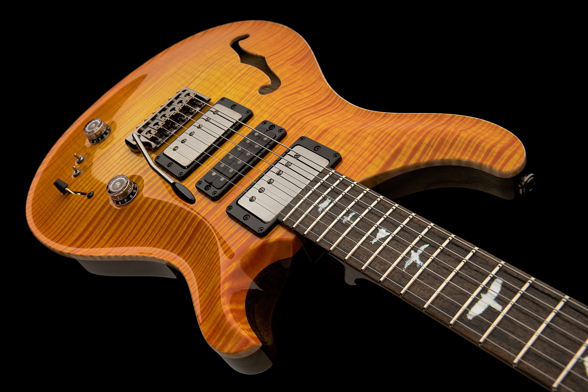 Meet the Private Stock Special Semi-Hollow Limited Edition