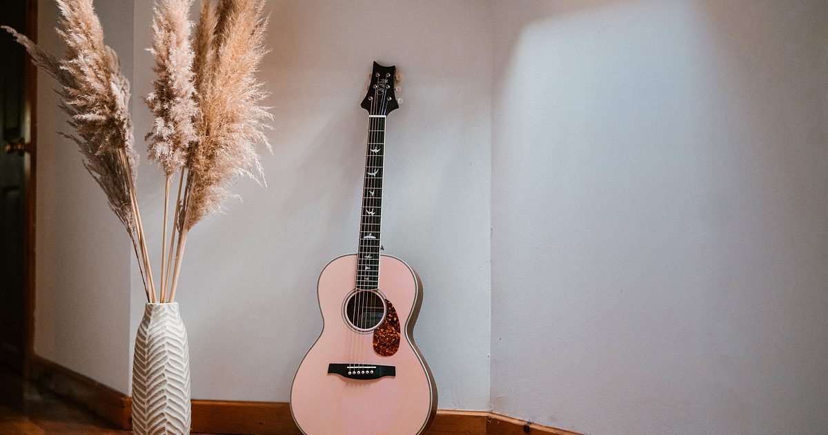 PRS Guitars | Meet the New Limited Edition SE P20E in Lotus PRS Guitars | Meet the New Limited Edition SE P20E in Lotus