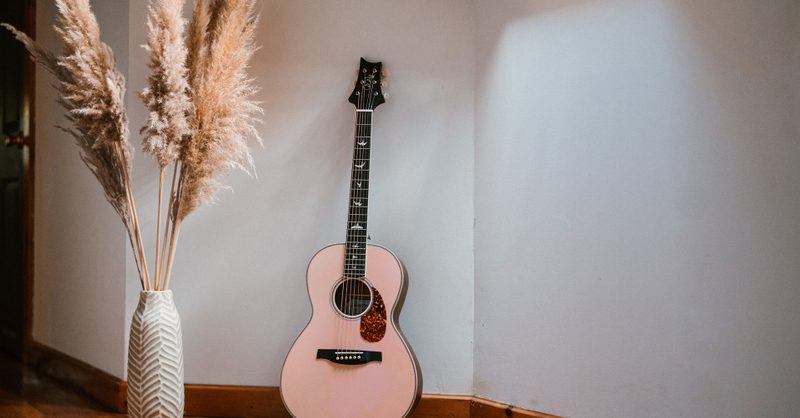 PRS Guitars | Meet the New Limited Edition SE P20E in Lotus PRS Guitars | Meet the New Limited Edition SE P20E in Lotus