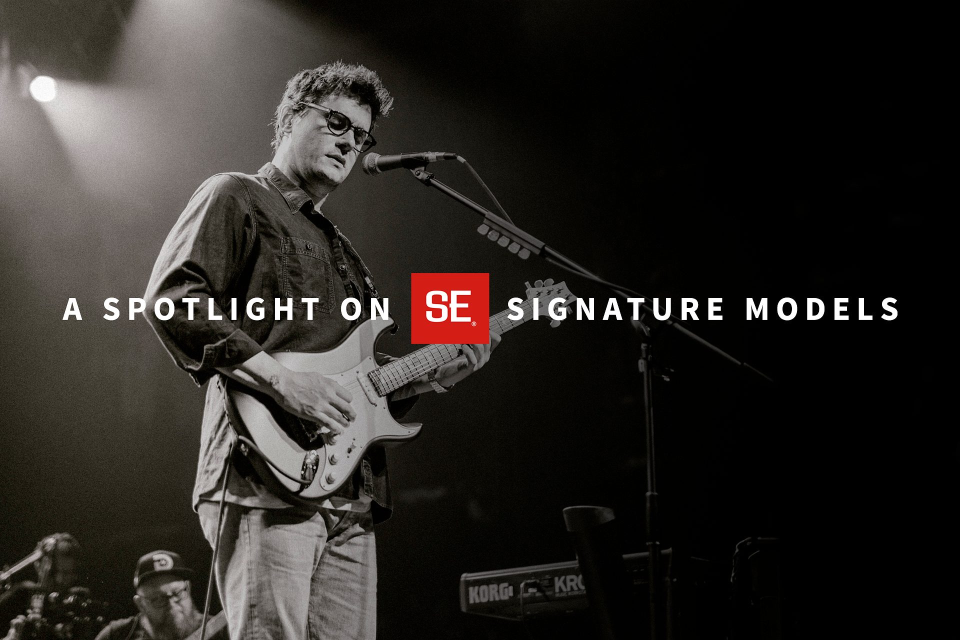 A Spotlight on SE Signature Models