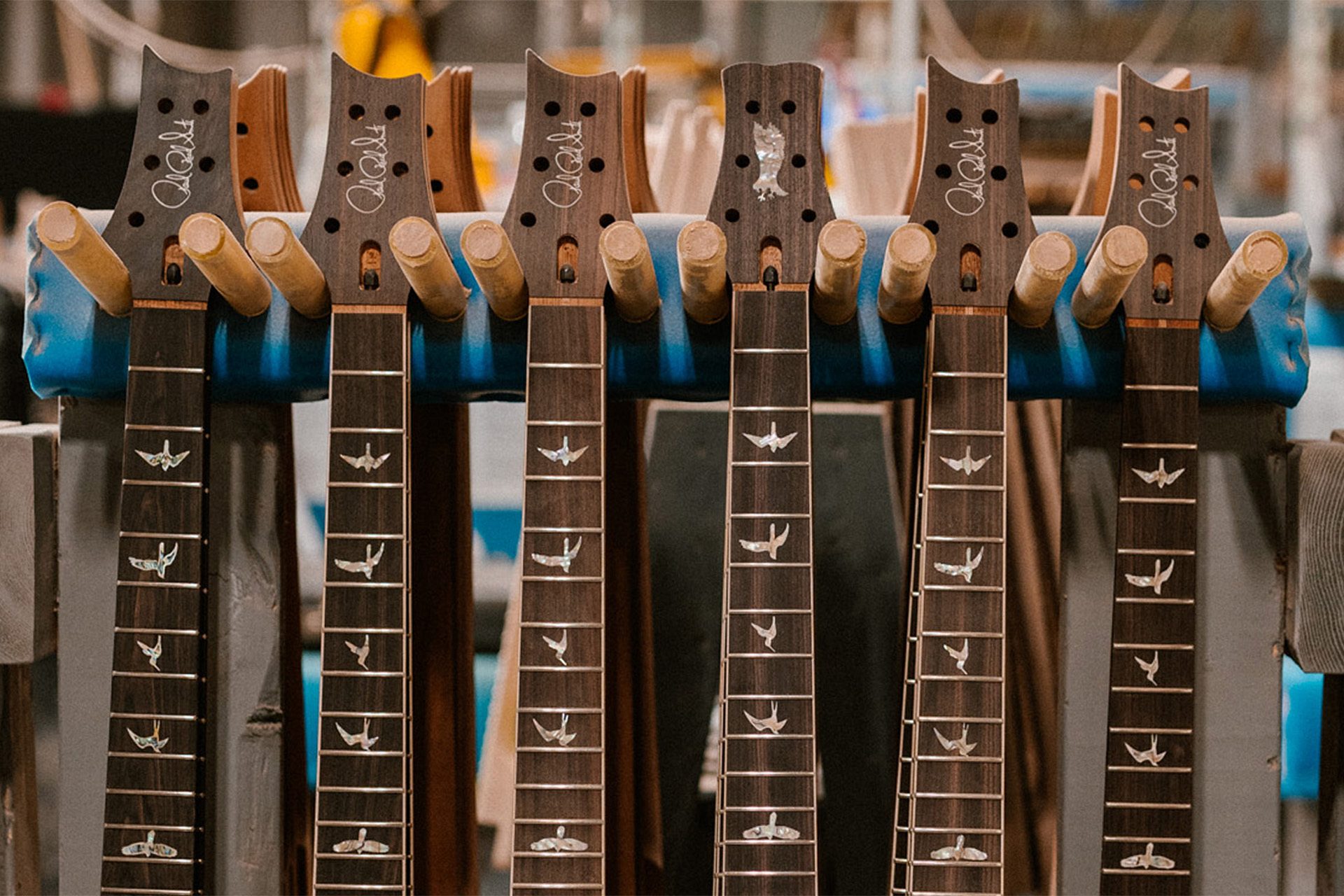 Quiz: Can You Name the Birds on the PRS Fretboard?