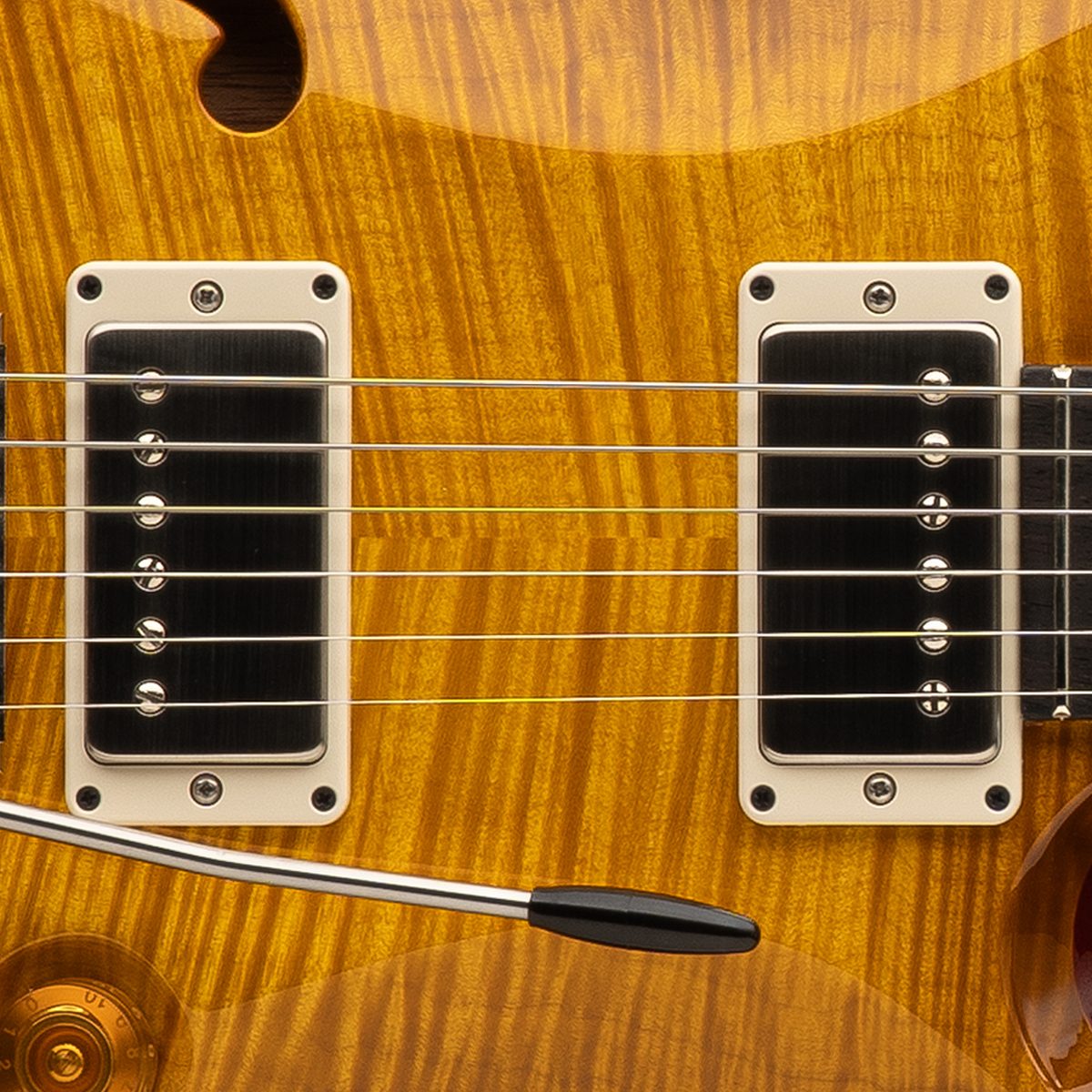 PRS DGT Pickups