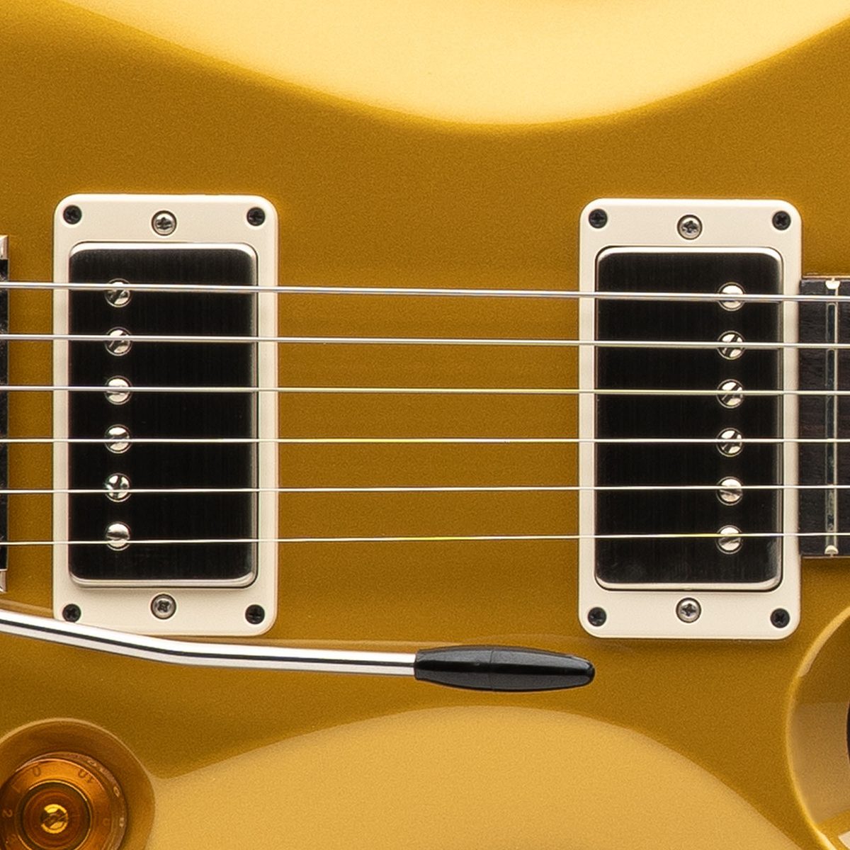 PRS DGT Pickups