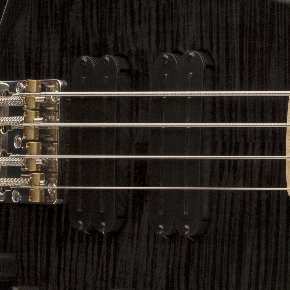 PRS GG Bass Pickups