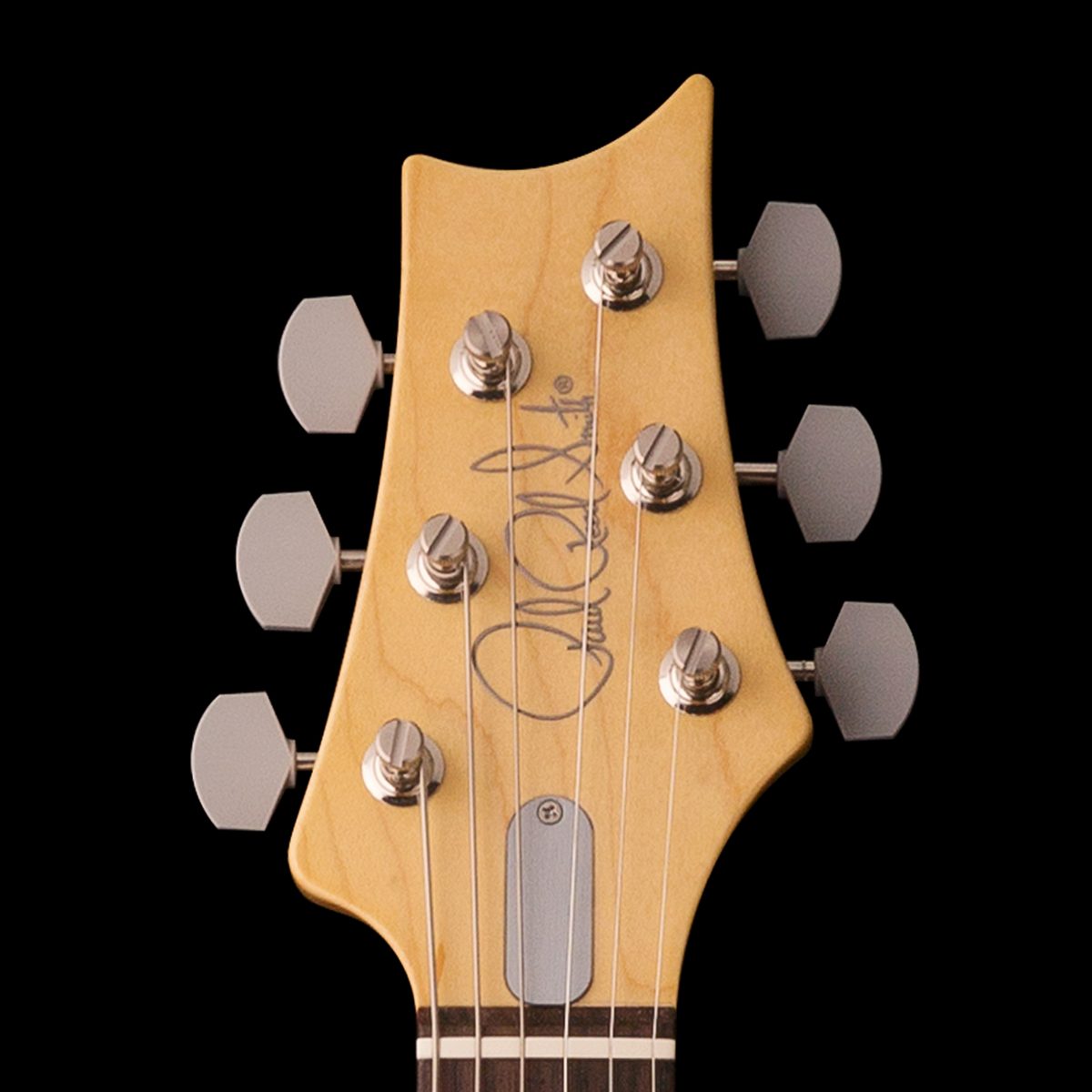 Vintage-Style, Locking Tuners