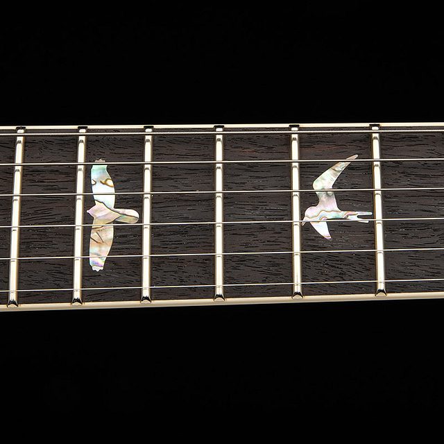 Mccarty 2026 black rainbow holoflake hero e