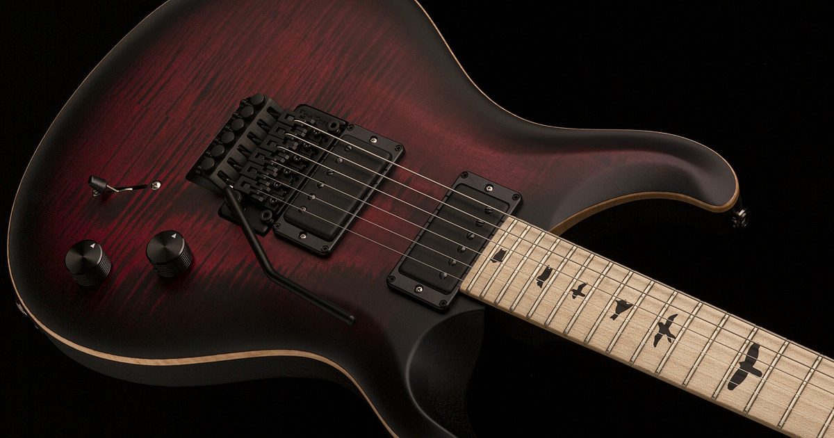 PRS Guitars | DW CE 24 “Floyd” - 2023