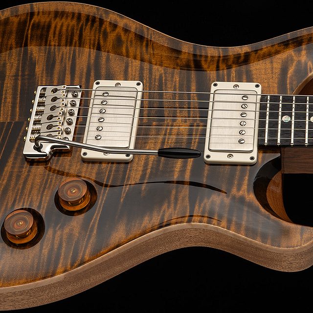 Dgt 2026 tiger eye hero a