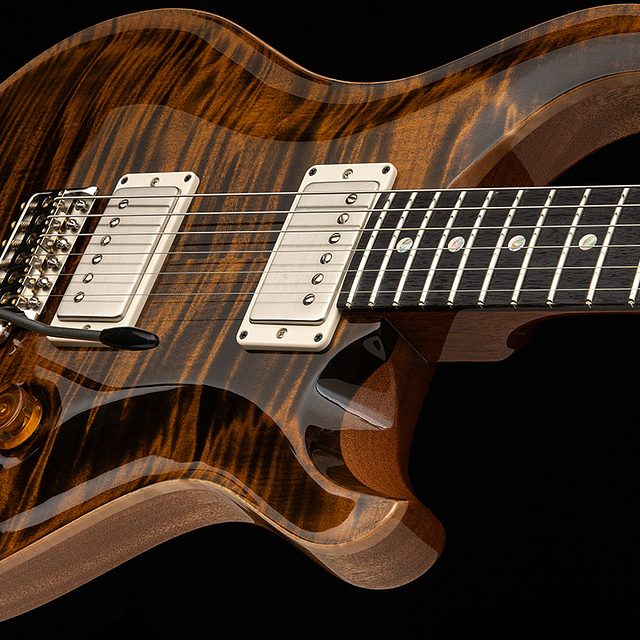 Dgt 2026 tiger eye hero b