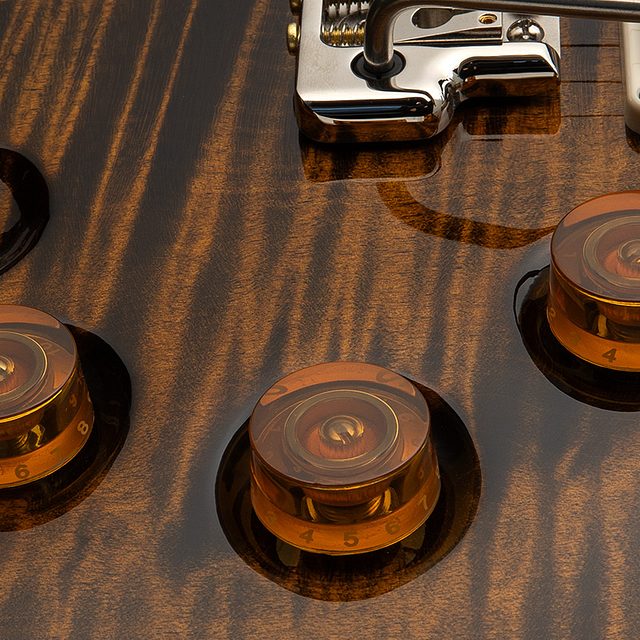 Dgt 2026 tiger eye hero c