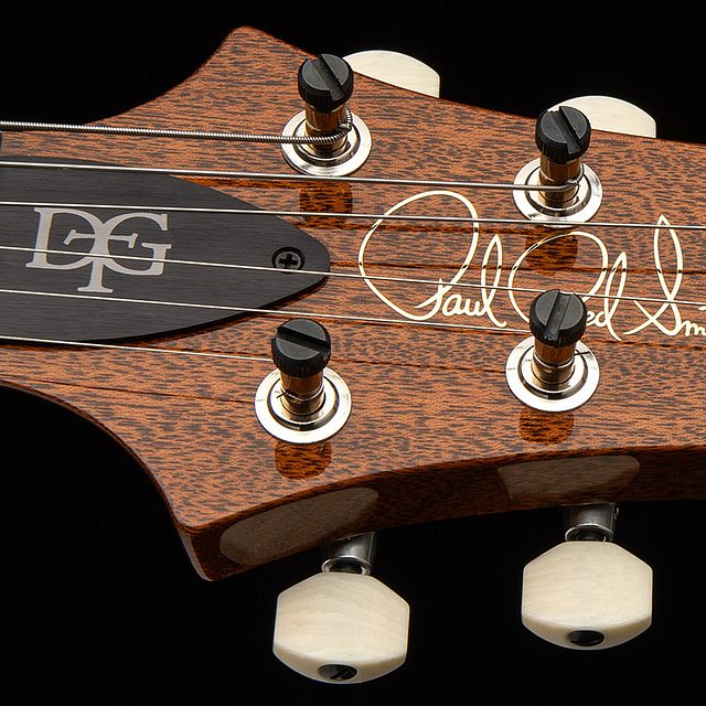 Dgt 2026 tiger eye hero e