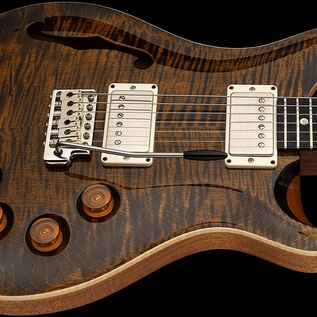 Dgt semi hollow 2026 tiger eye hero a