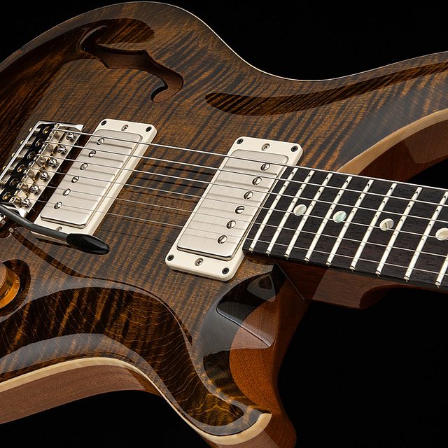 Dgt semi hollow 2026 tiger eye hero b