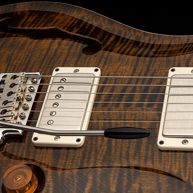 Dgt semi hollow 2026 tiger eye hero c