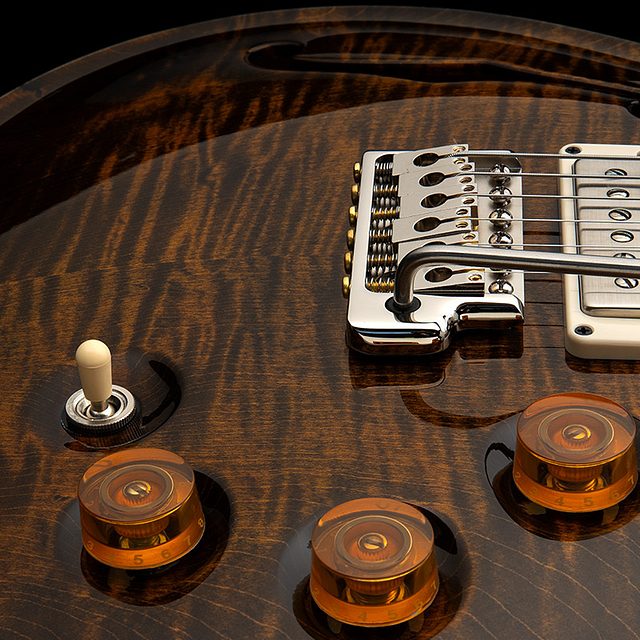 Dgt semi hollow 2026 tiger eye hero d