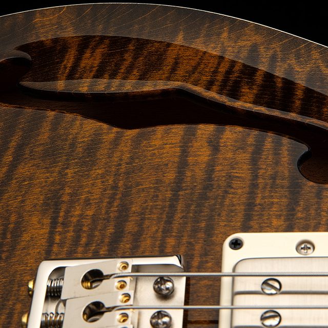 Dgt semi hollow 2026 tiger eye hero e