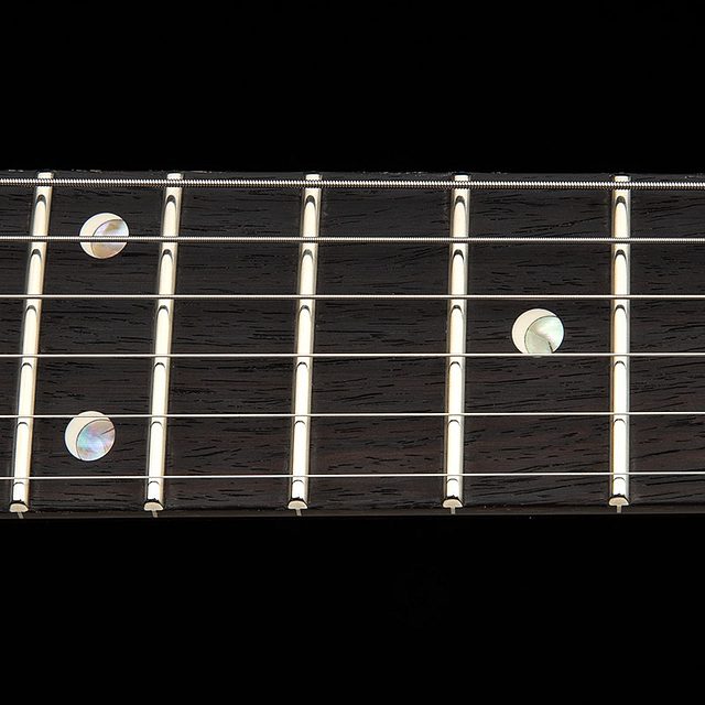 Dgt semi hollow 2026 tiger eye hero f