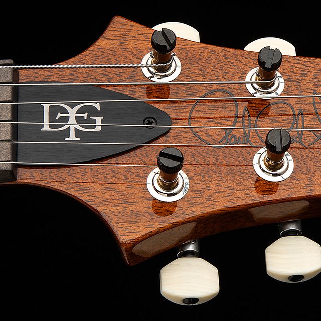 Dgt semi hollow 2026 tiger eye hero g