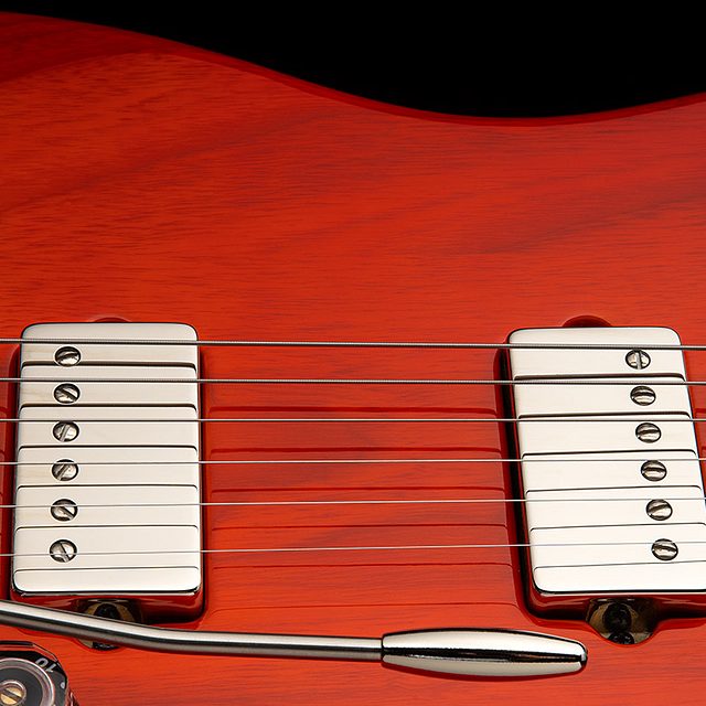 Fiore hh 2025 amaryllis hero d