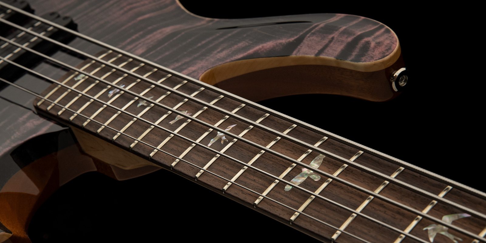 Grainger 5 string gallery 1 2022