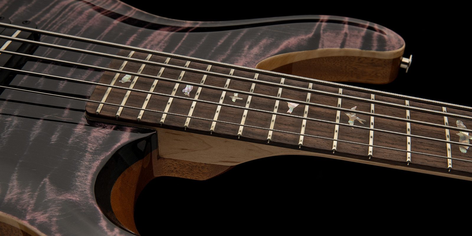 Grainger 5 string gallery 2 2022