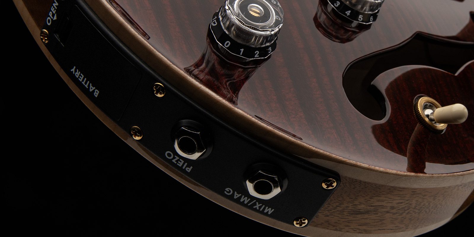 Hollowbody ii piezo gallery 3 2024