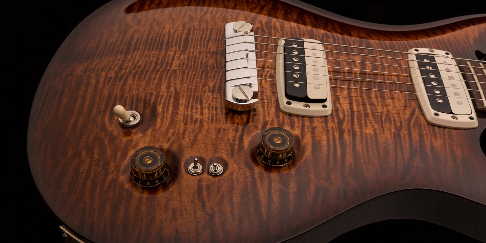 PRS Guitars | Pauls Guitar - 2022