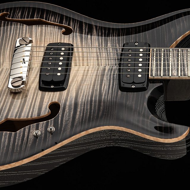 Private stock 30th anniversary birds of a feather hollowbody i 2026 hero a