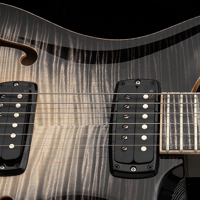 Private stock 30th anniversary birds of a feather hollowbody i 2026 hero b