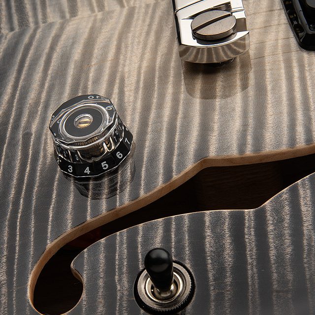 Private stock 30th anniversary birds of a feather hollowbody i 2026 hero c