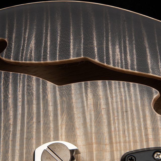 Private stock 30th anniversary birds of a feather hollowbody i 2026 hero d