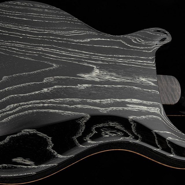 Private stock 30th anniversary birds of a feather hollowbody i 2026 hero g