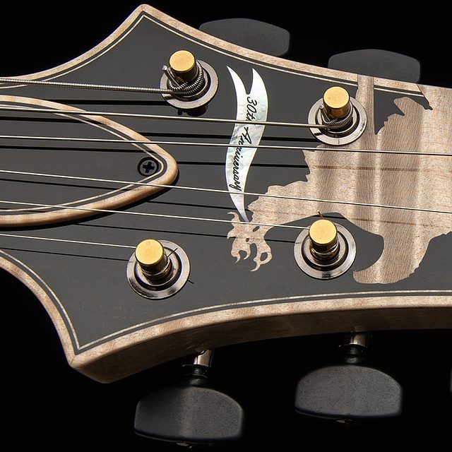 Private stock 30th anniversary birds of a feather hollowbody i 2026 hero h