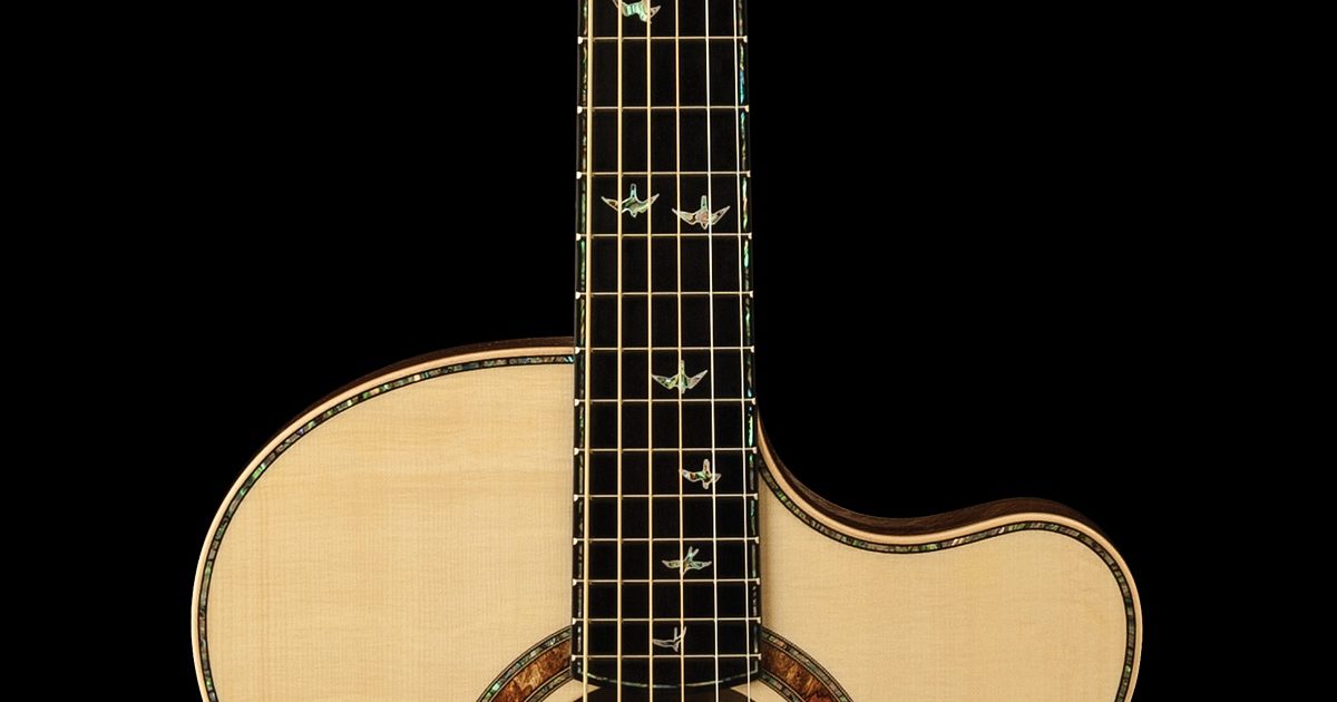 PRS Guitars | Private Stock Alex Lifeson Thinline Signature Acoustic