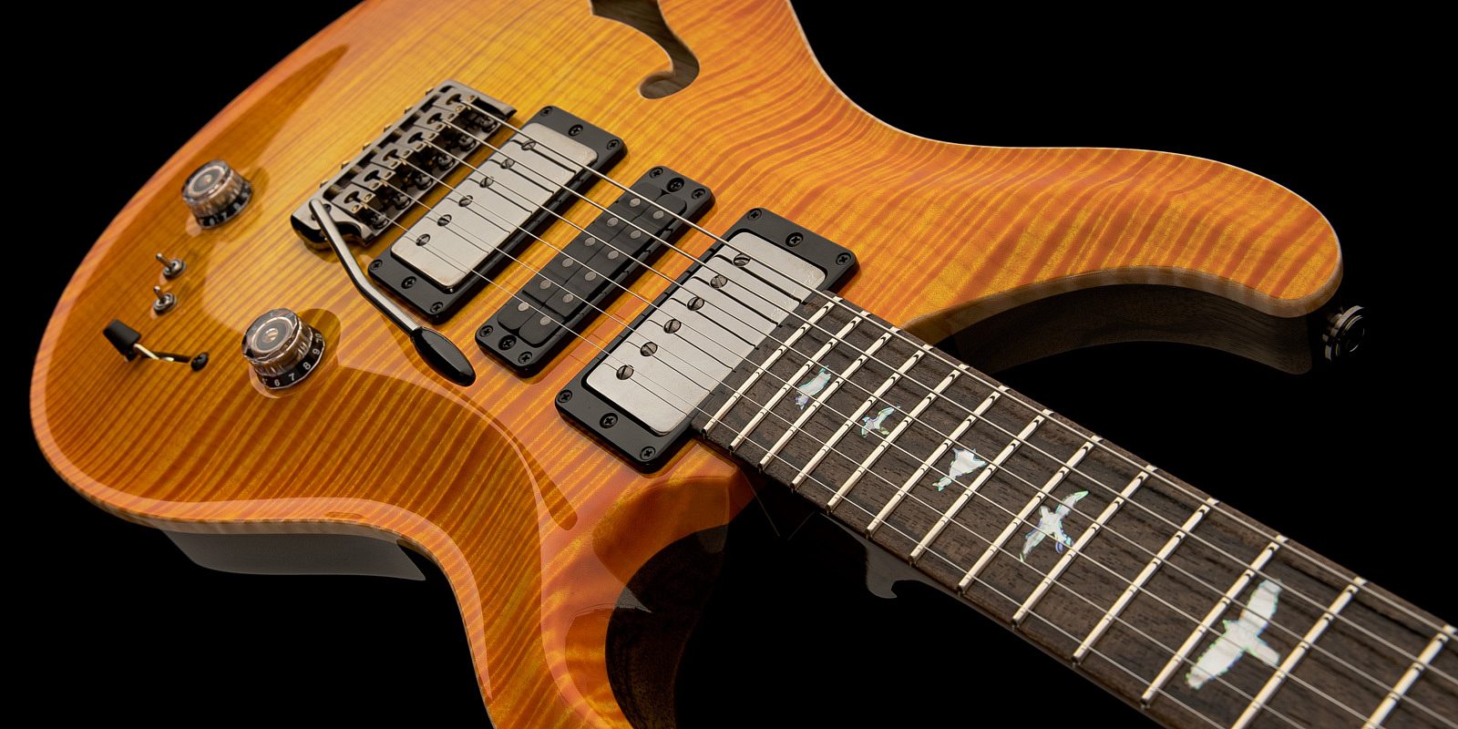 PRS Guitars | Private Stock Special Semi-Hollow Limited Edition