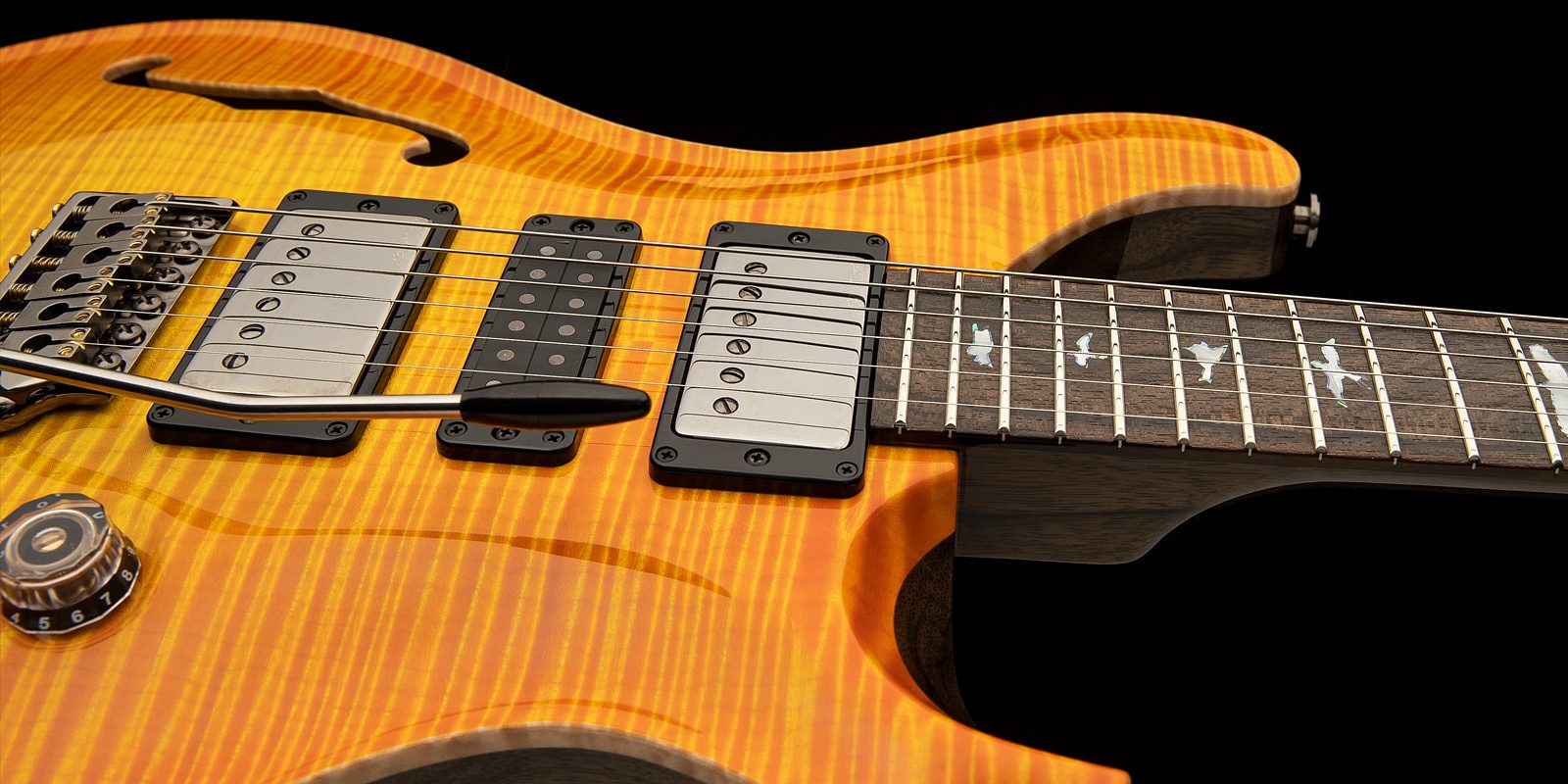 PRS Guitars  Private Stock Special Semi-Hollow Limited Edition