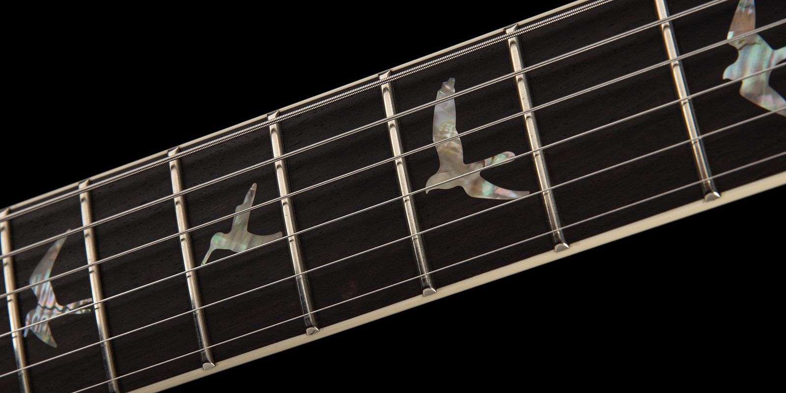 Robben ford 2022 gallery 7
