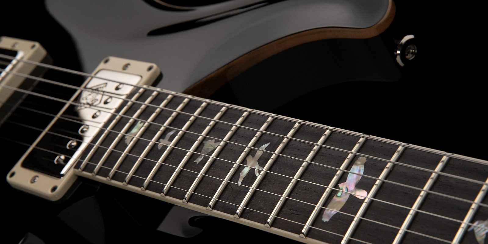Robben ford 2022 gallery 2