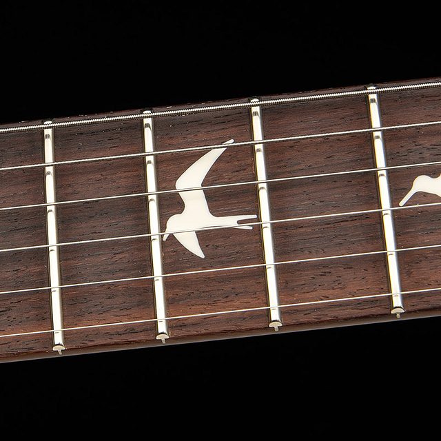 S2 custom 24 2026 b vintage natural hero e