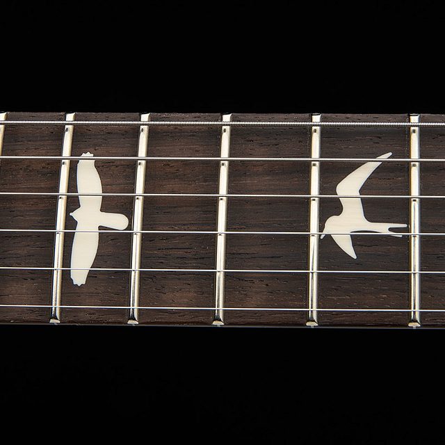 S2 studio 2026 faded gray black burst hero d