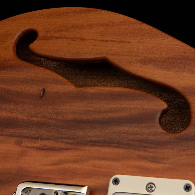 S2 special semi hollow reclaimed limited edition 2025 hero e