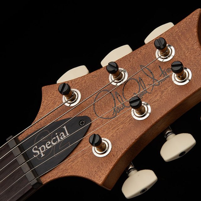 S2 special semi hollow reclaimed limited edition 2025 hero g