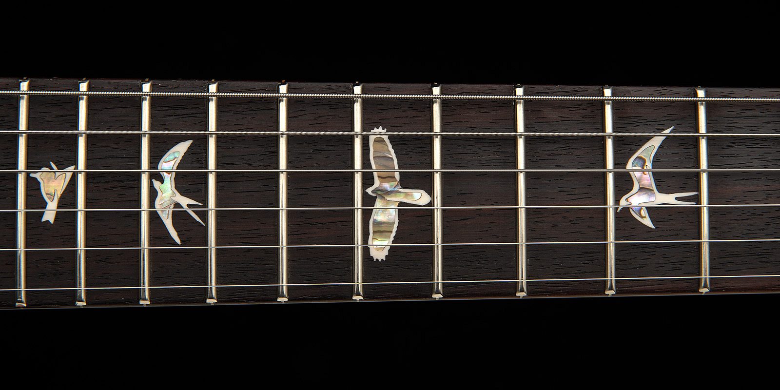 Studio 2025 carroll blue hero e