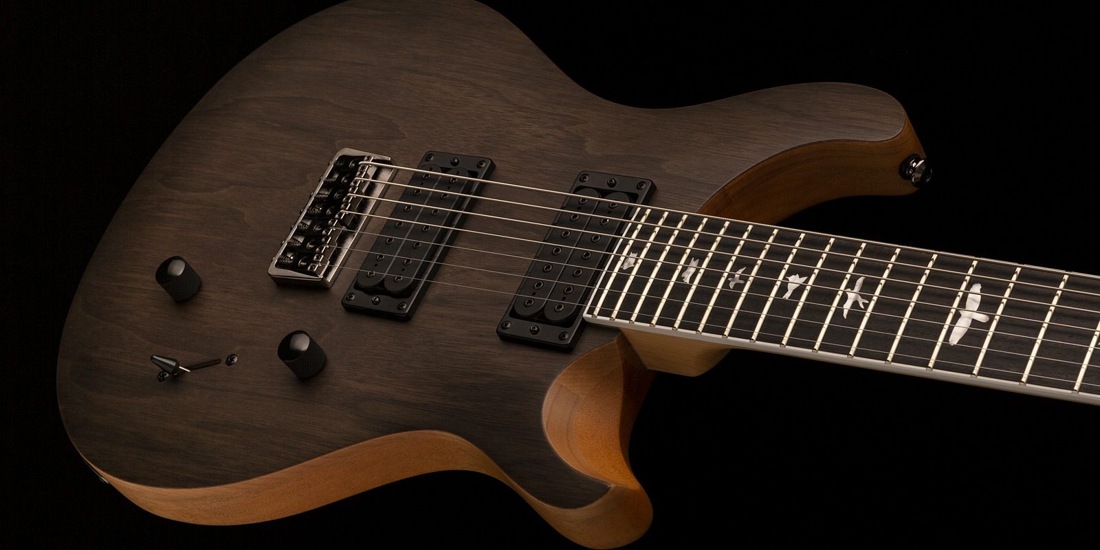 PRS Mark Holcomb SVN | eclipseseal.com