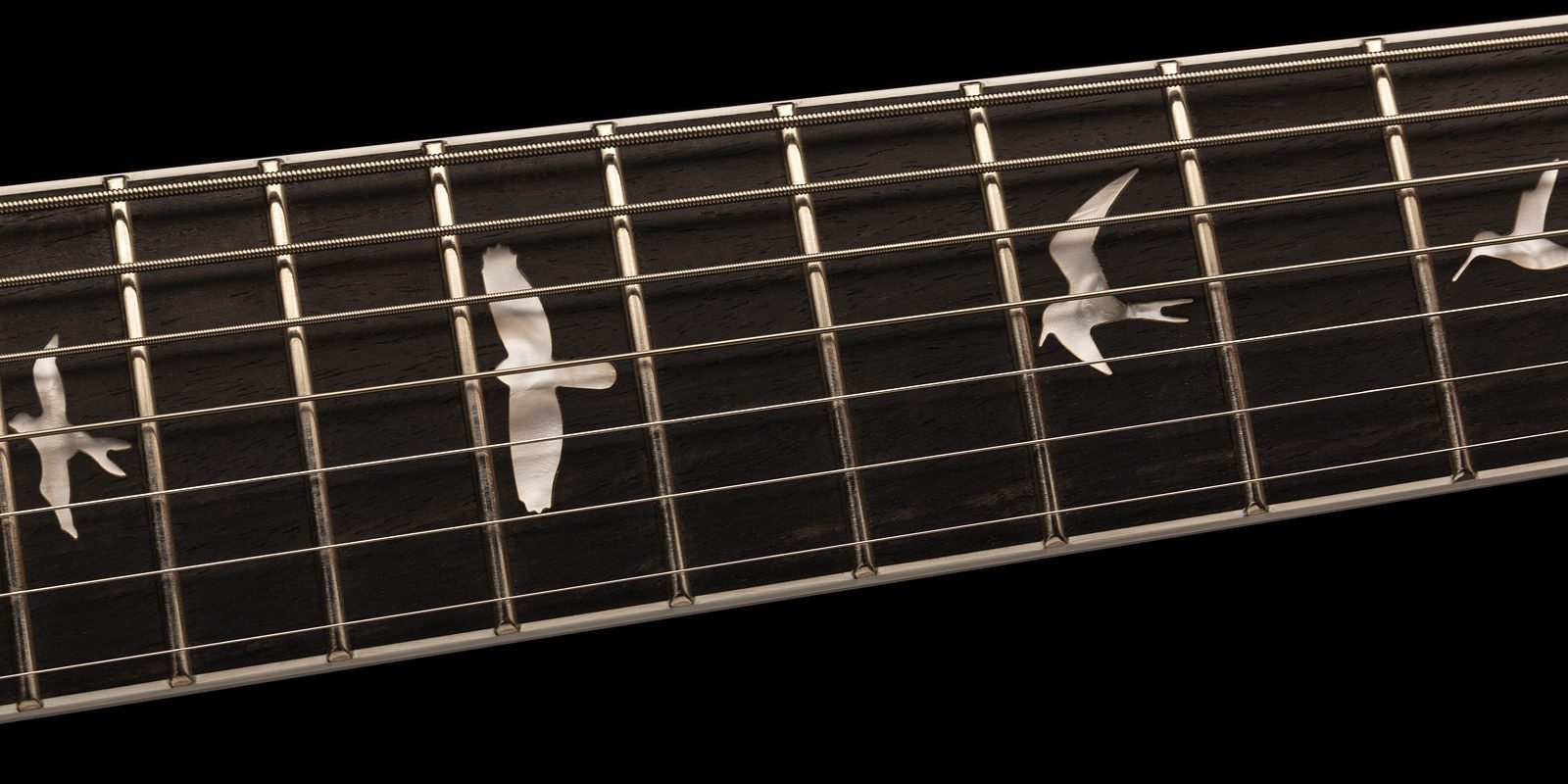 PRS Guitars | SE Mark Holcomb SVN - 2021