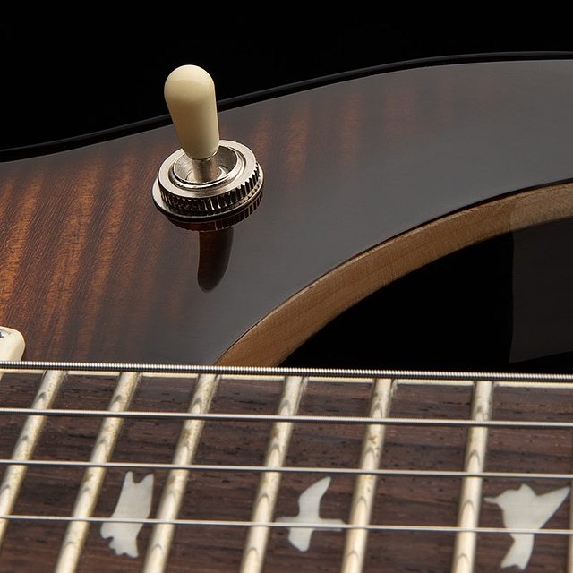 Se mccarty 594 2026 black gold burst hero e