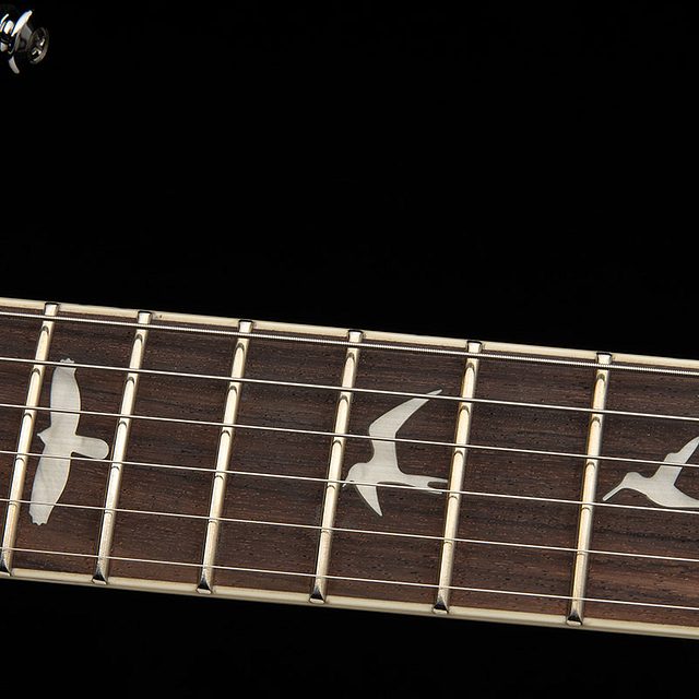 Se mccarty 594 2026 black gold burst hero f