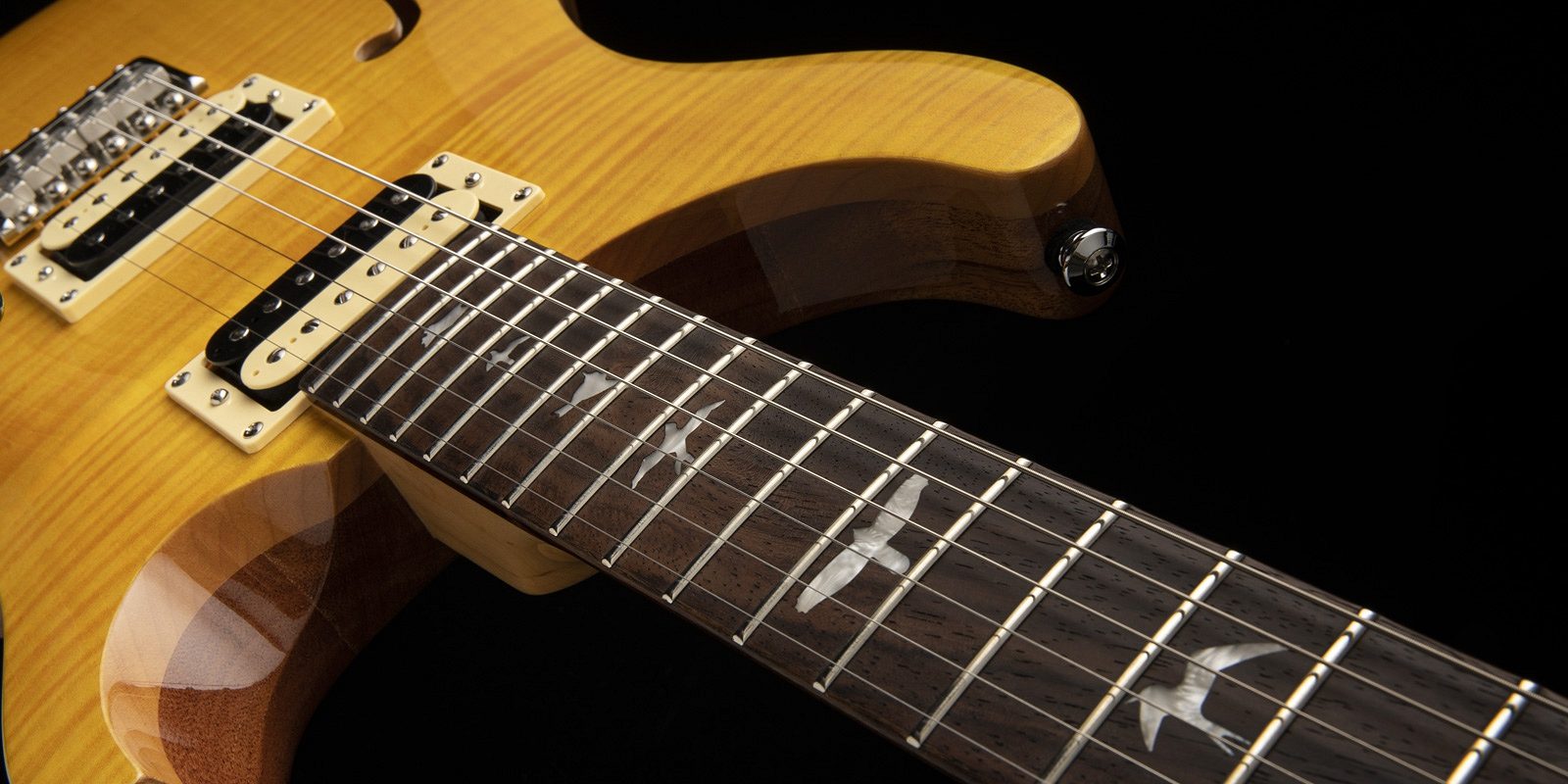 PRS Guitars | SE Custom 22 Semi-Hollow - 2022