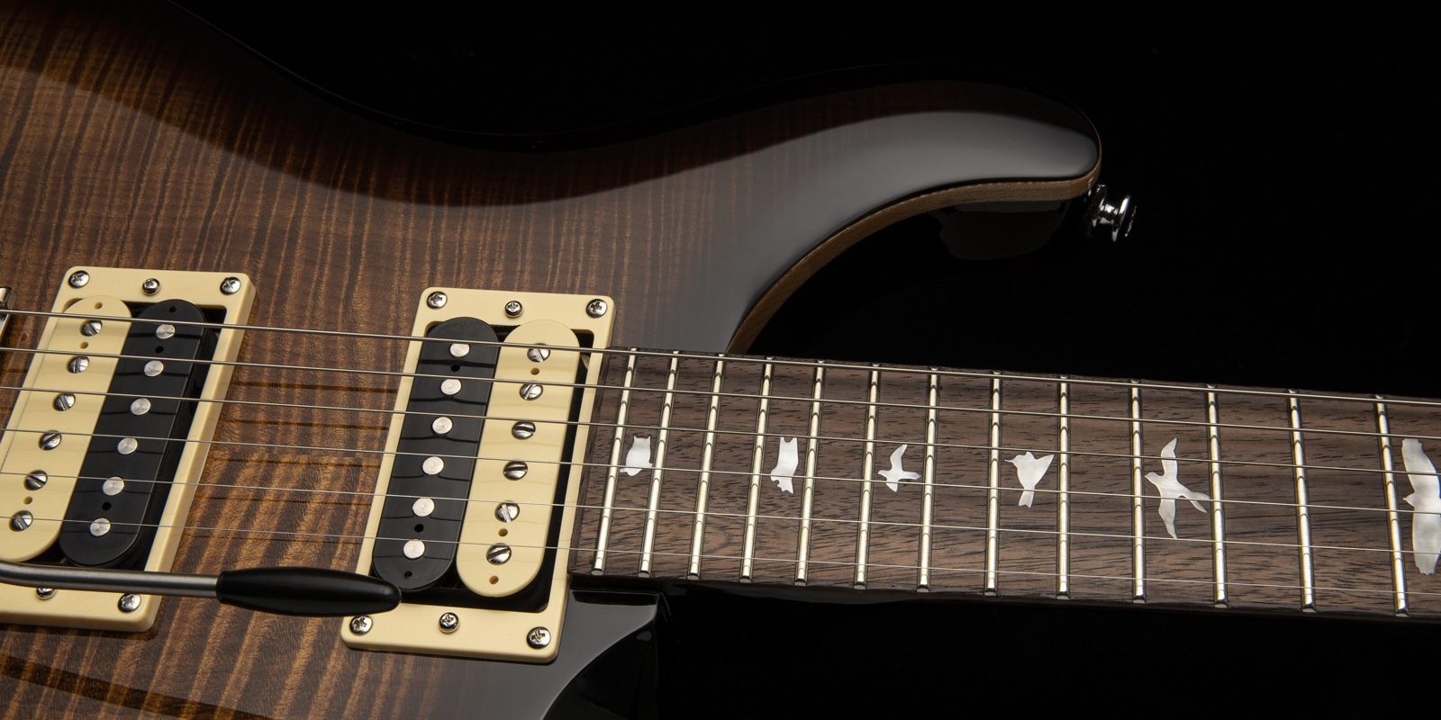 Se custom. PRS se Custom 24 Charcoal Burst. PRS se Custom 24 2021. PRS se Custom 24 Black Gold Burst. Электрогитара PRS se Custom 24.
